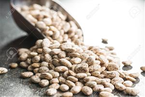 Boccia Dried Beans